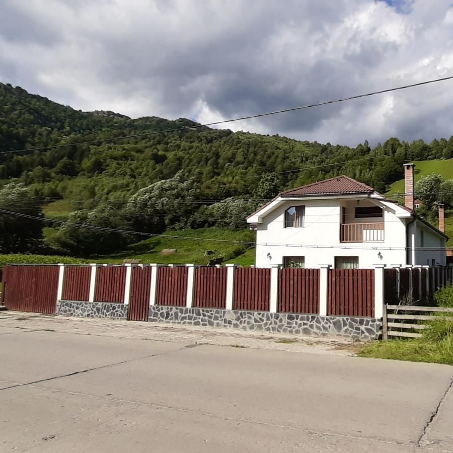 Дома для отпуска Hill House Şanţ-5